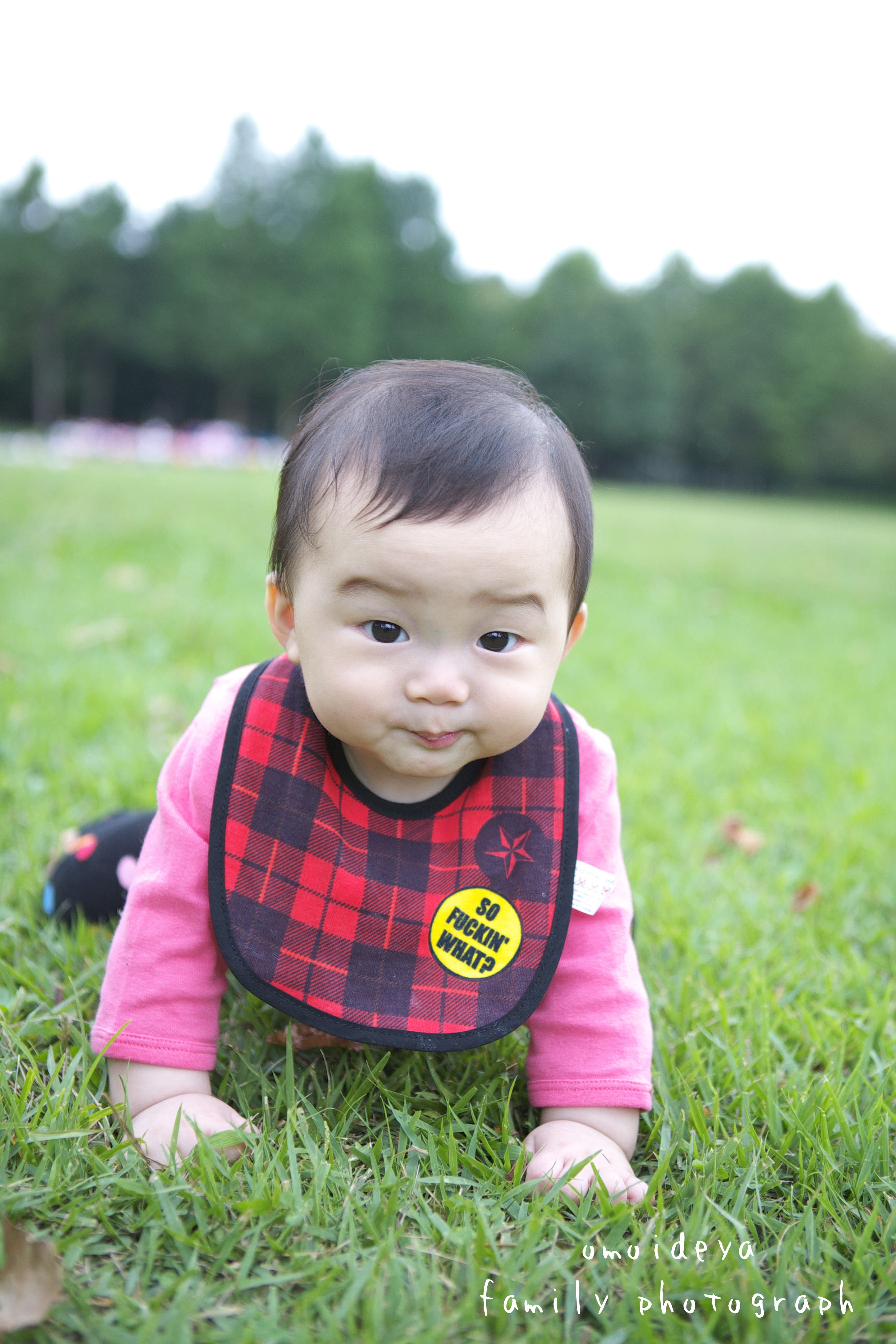 芝生の上でハイハイする赤ちゃん